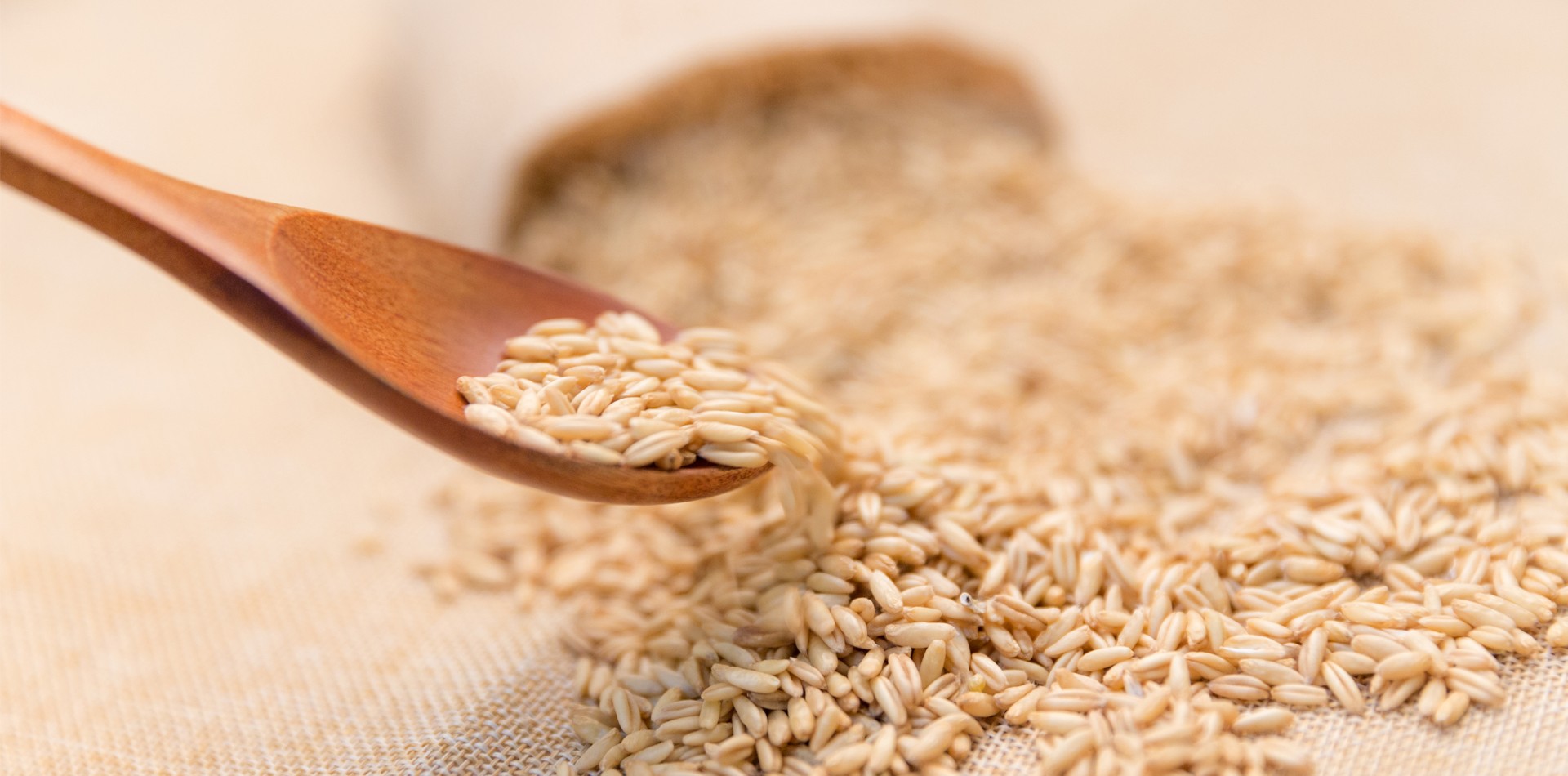 小分子燕麥β-葡聚糖具有內源性保濕，修復皮膚屏障等功效